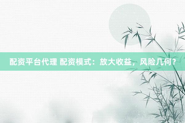 配资平台代理 配资模式：放大收益，风险几何？