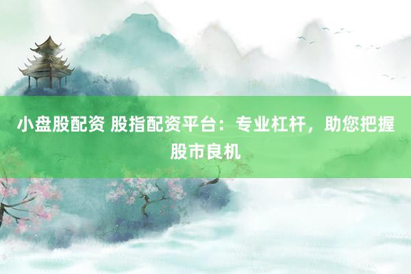 小盘股配资 股指配资平台：专业杠杆，助您把握股市良机