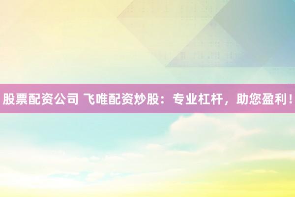 股票配资公司 飞唯配资炒股：专业杠杆，助您盈利！