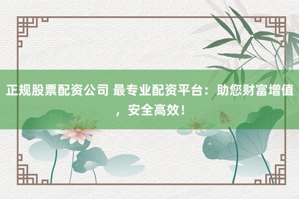 正规股票配资公司 最专业配资平台：助您财富增值，安全高效！