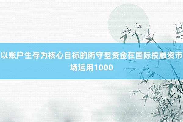 以账户生存为核心目标的防守型资金在国际投融资市场运用1000