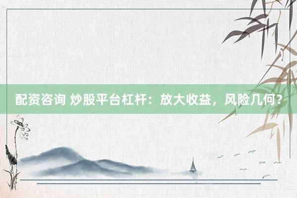 配资咨询 炒股平台杠杆：放大收益，风险几何？