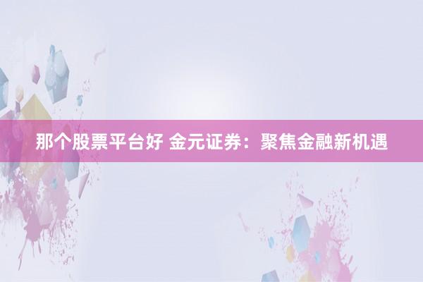 那个股票平台好 金元证券：聚焦金融新机遇
