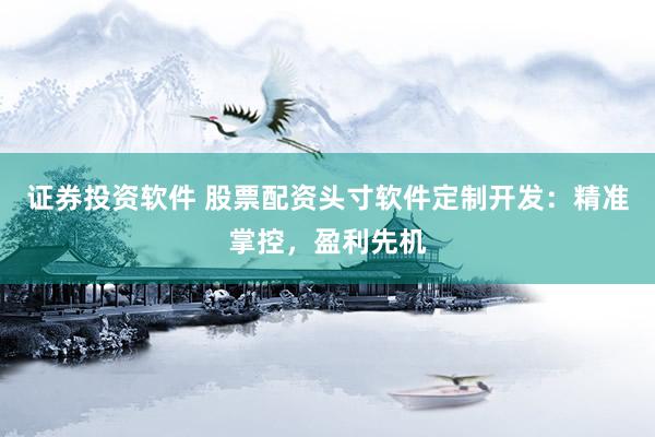 证券投资软件 股票配资头寸软件定制开发：精准掌控，盈利先机