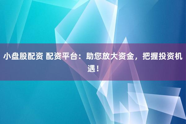 小盘股配资 配资平台：助您放大资金，把握投资机遇！