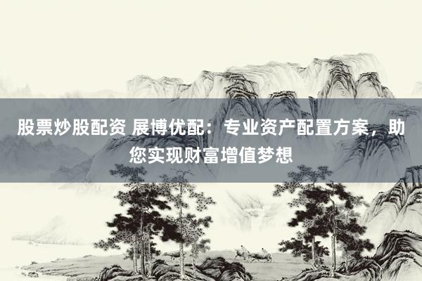 股票炒股配资 展博优配：专业资产配置方案，助您实现财富增值梦想